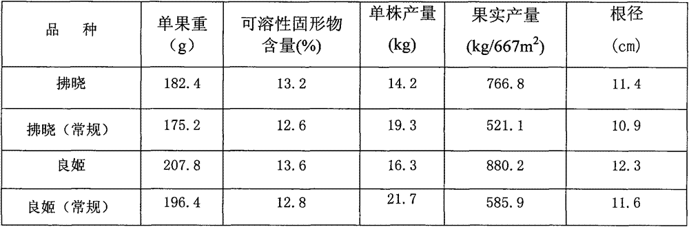 Shaping cultivation method of peach tree shape with two boughs and one center truck