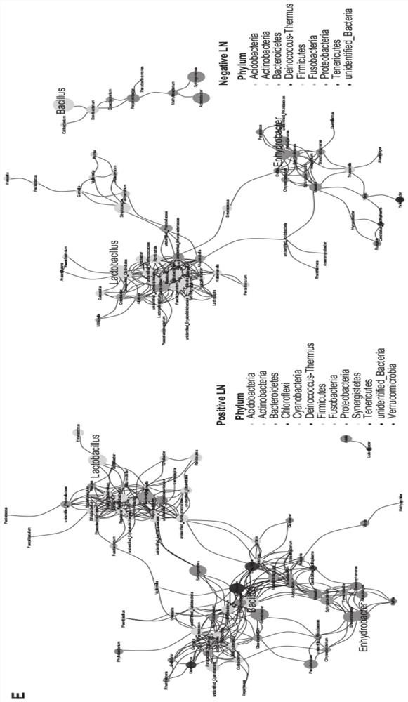 HNC (Head and Neck Cancer) prognosis biomarker based on lymph node microbial flora and application of HNC prognosis biomarker