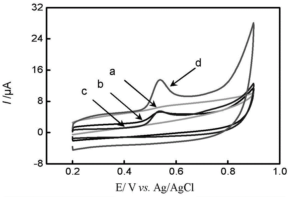 Electrochemical sensor for detecting bisphenol A, preparation method and application