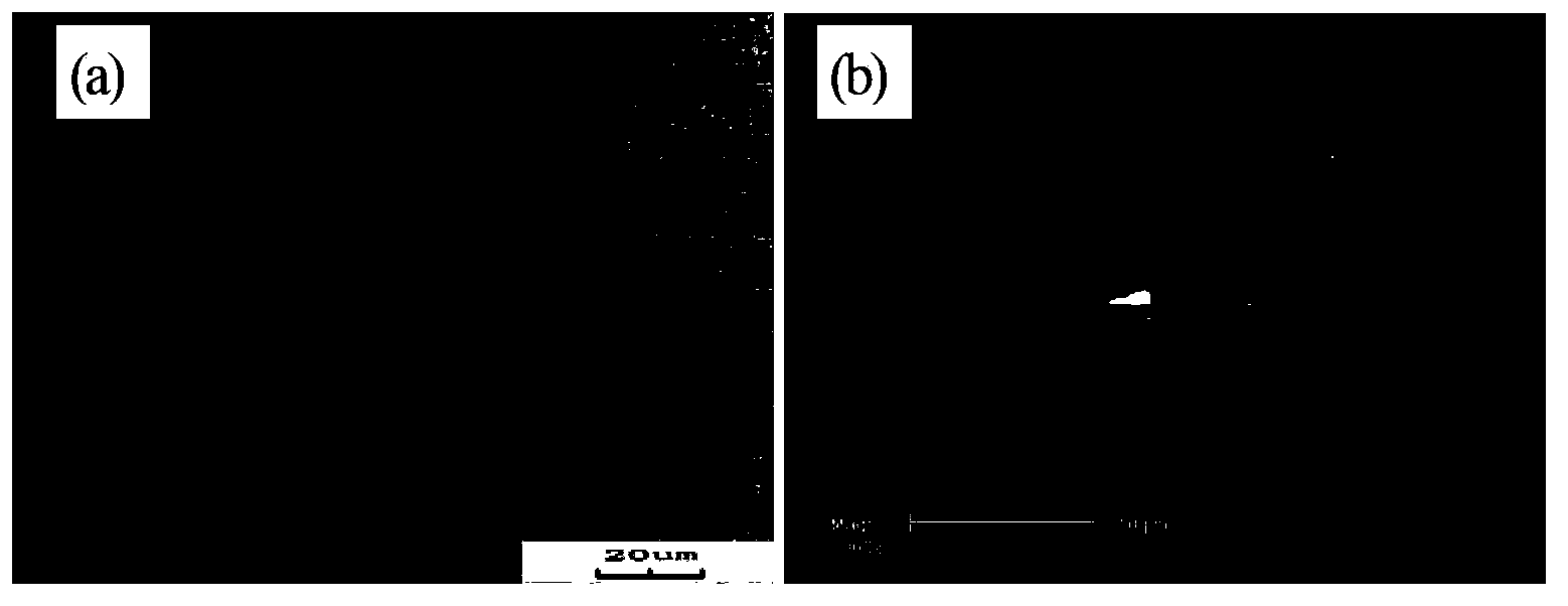 High-strength magnesium alloy extruded seamless tube and making technology thereof