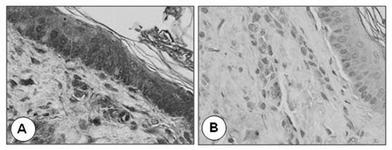 Orf virus (ORFV) protein ORFV059 monoclonal antibody hybridoma G3 and monoclonal antibody