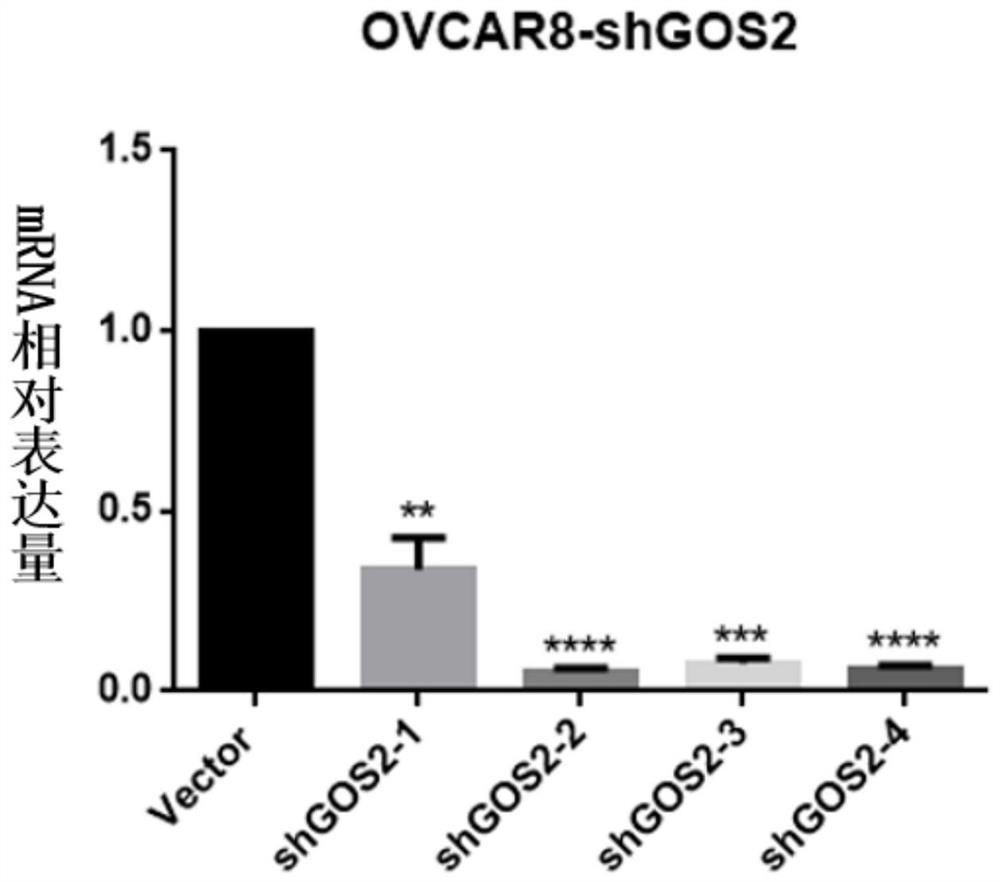 ShRNA sequence for specifically inhibiting GOS2 gene expression and application thereof