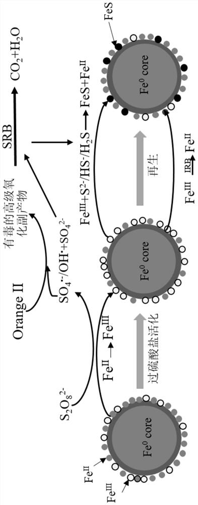 A kind of advanced oxidation of persulfate coupled with biological sulfate reduction treatment method of wastewater