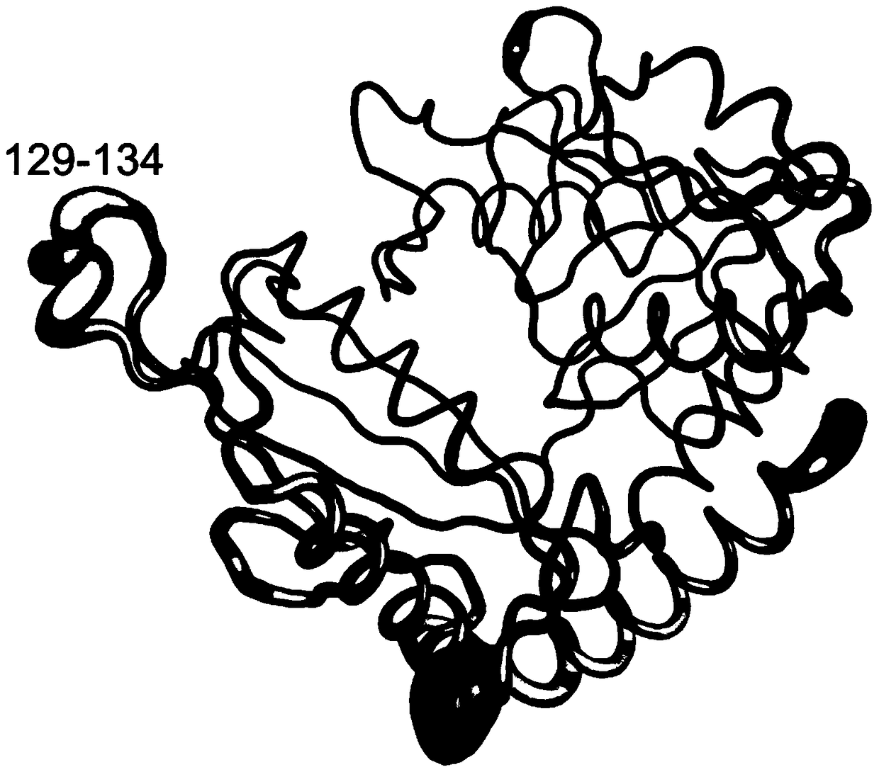 Omega-transaminase mutant and its coding gene and preparation method