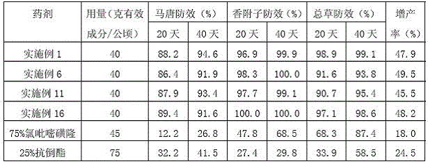 Herbicidal composition used for preventing and controlling weeds in sugarcane fields