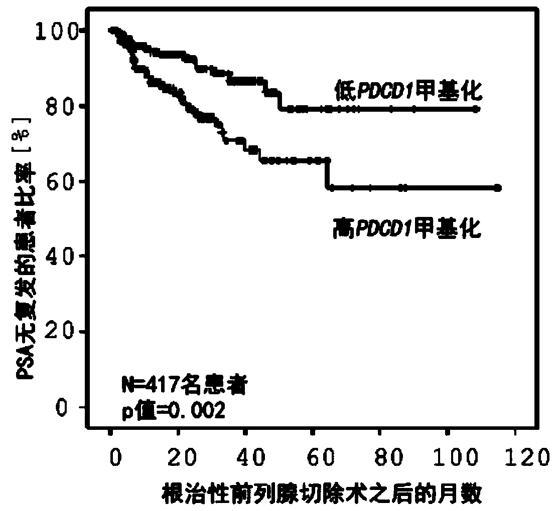 Method for assessing a prognosis and predicting the response of patients with malignant diseases to immunotherapy