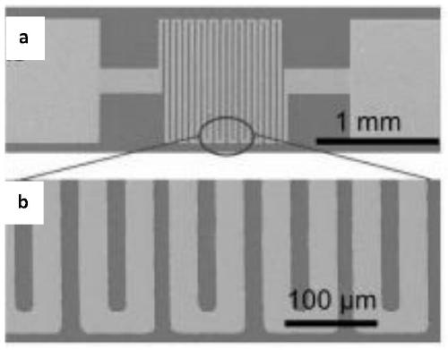 Multifunctional gas sensor capable of simultaneously detecting humidity, temperature and flow and preparation method thereof