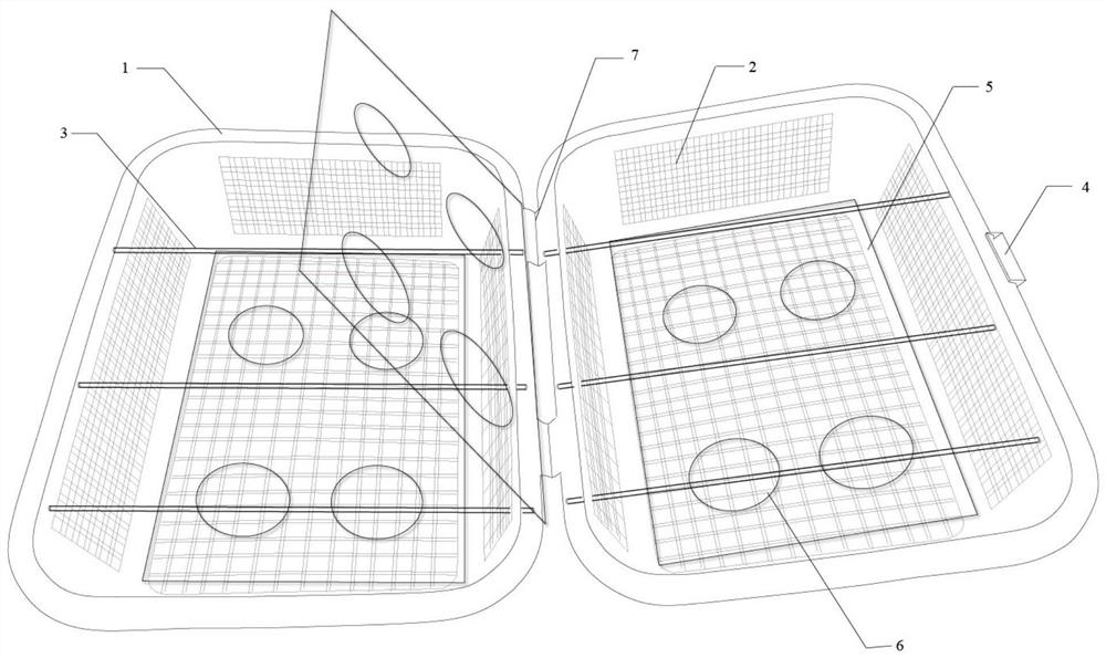 A kind of device and method suitable for snail breeding and egg collection and hatching