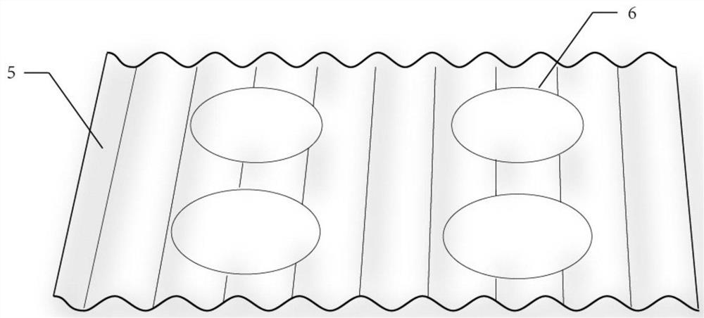 A kind of device and method suitable for snail breeding and egg collection and hatching