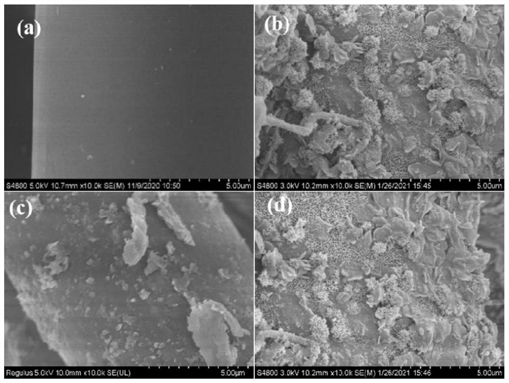 Method for preparing super-hydrophobic polyester fabric based on thiol-ene click reaction