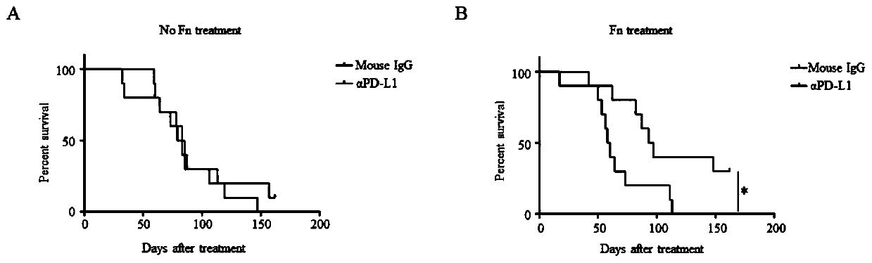 Fusobacterium nucleatum as marker to predict curative effect of PD-L1 antibody therapy of colorectal cancer and application of maker