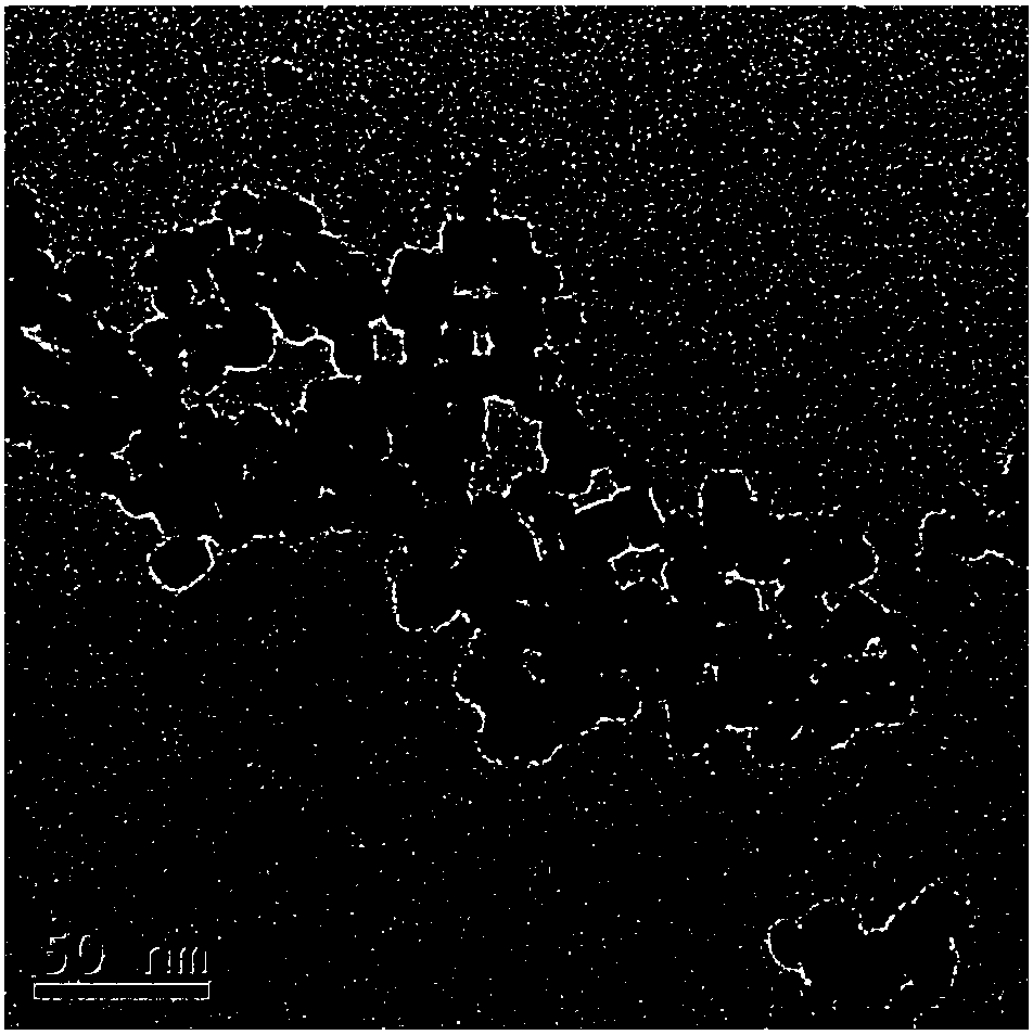 Preparation method of water-soluble fluorescent calcium fluoride nanoparticle