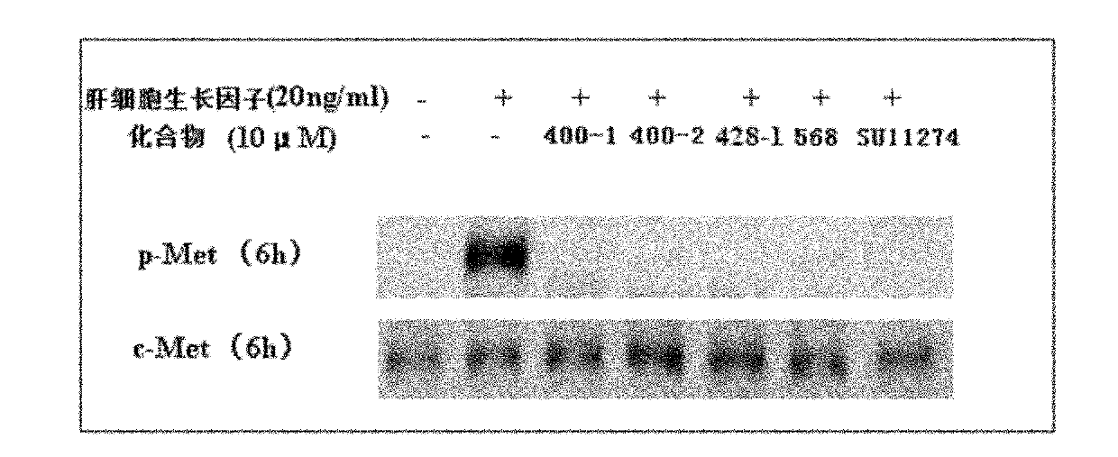 Dicoumarol compound, as well as preparation method and application thereof