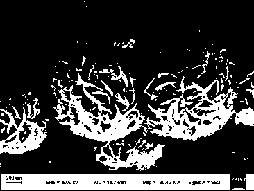 Preparation method of flower-like molybdenum disulfide and UiO-66 combined photocatalyst