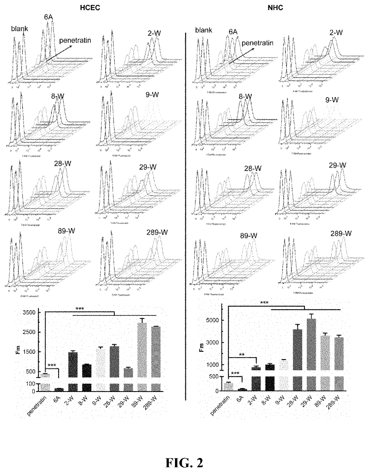 Polypeptide eye absorption enhancer and use thereof