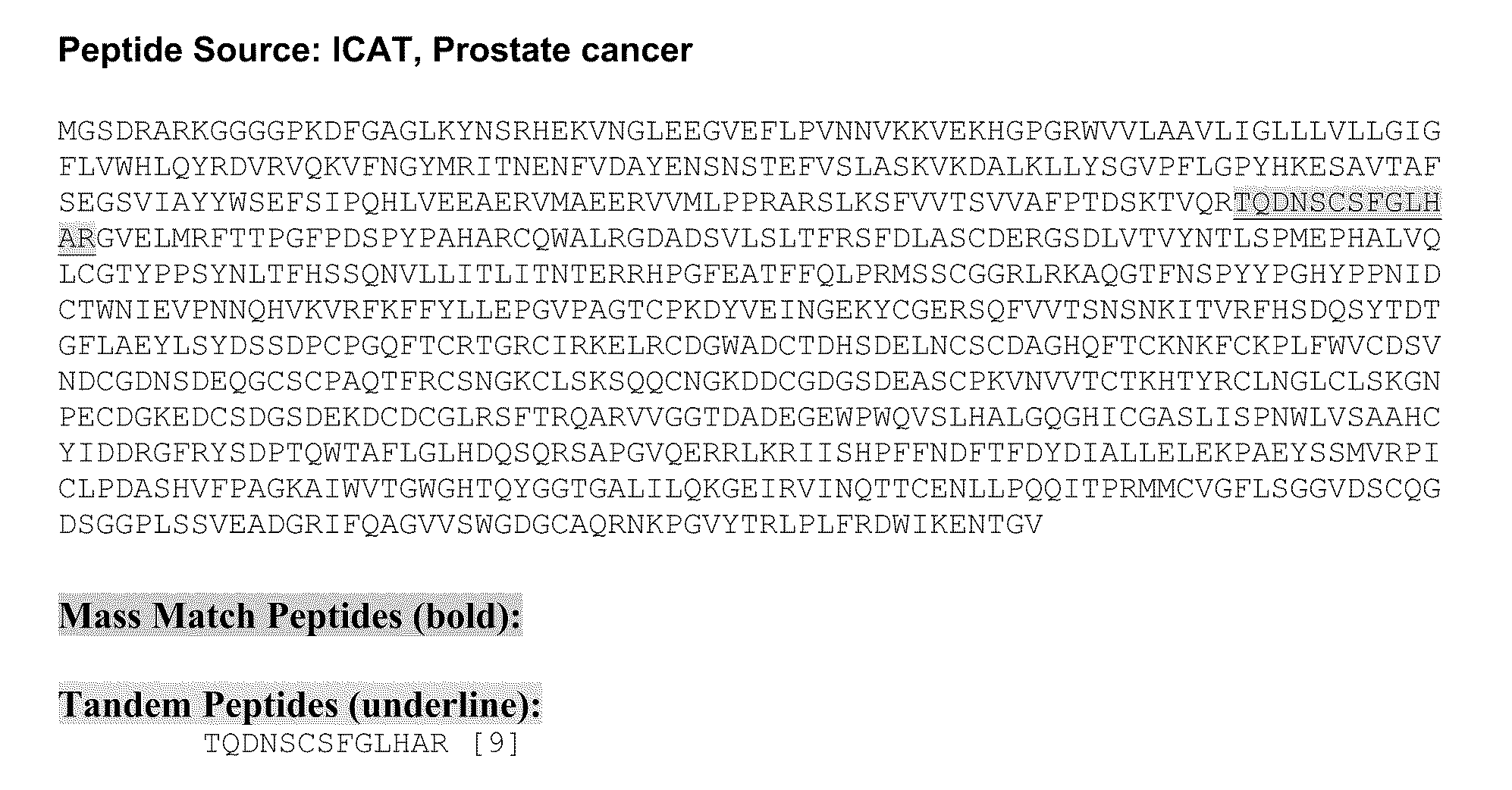 Matriptase protein and uses thereof