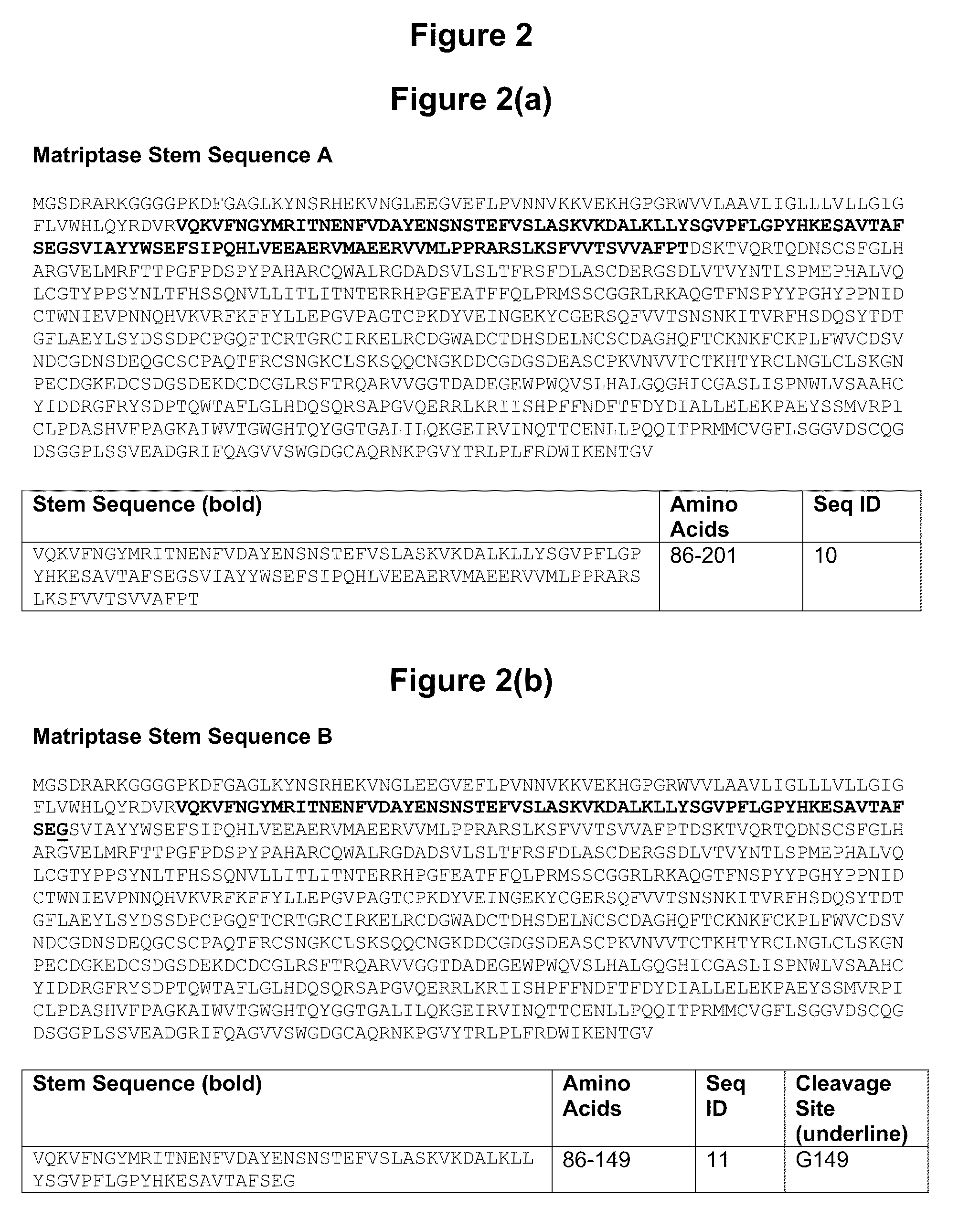 Matriptase protein and uses thereof