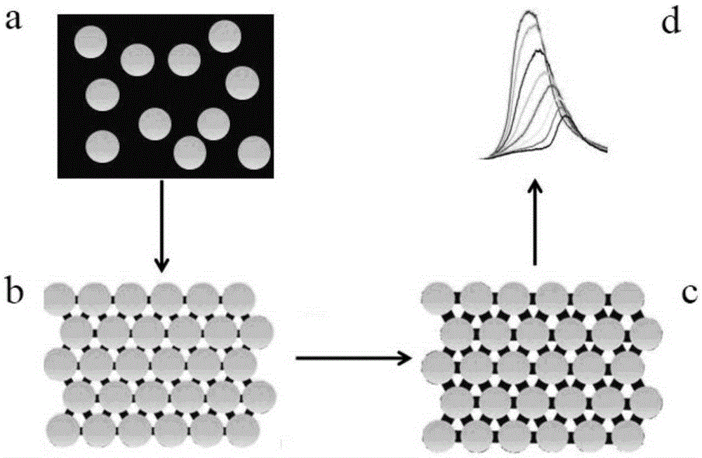 Preparation method of fast high-sensitivity photonic crystal humidity sensor