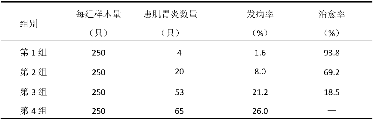 Gravel composition used for treating muscular stomach inflammation of poultry