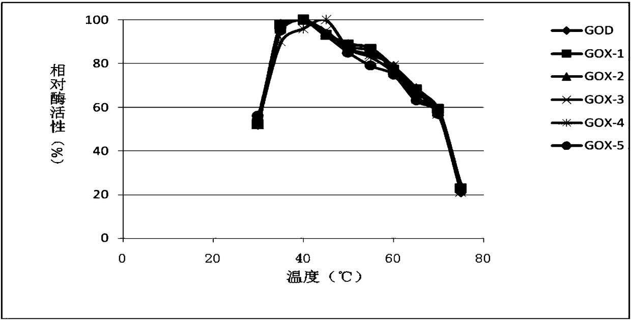 Specific activity and heat stability improved glucose oxidase mutant and encoding gene and application of glucose oxidase mutant