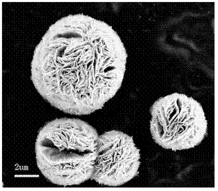 Preparation method of zinc oxide microsphere with nanoflower-shaped microstructure