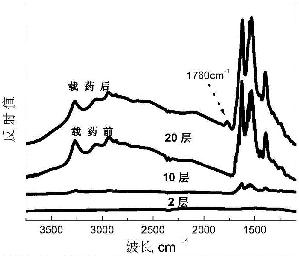 Polypeptide bioactive coating and biomaterial as well as preparation method and application of biomaterial