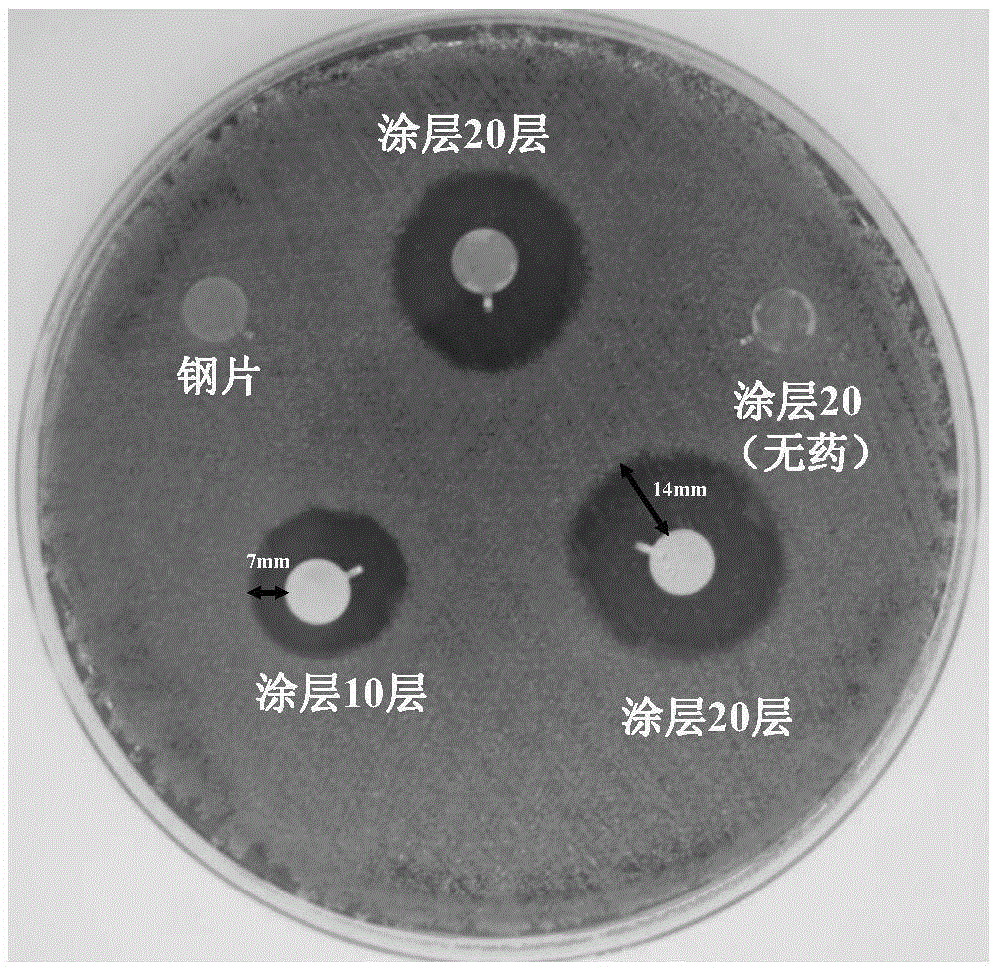 Polypeptide bioactive coating and biomaterial as well as preparation method and application of biomaterial