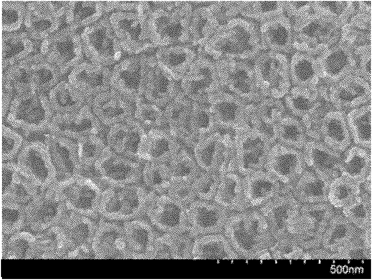 Method for preparing iron oxide nano granule modified titanium dioxide nano tube array