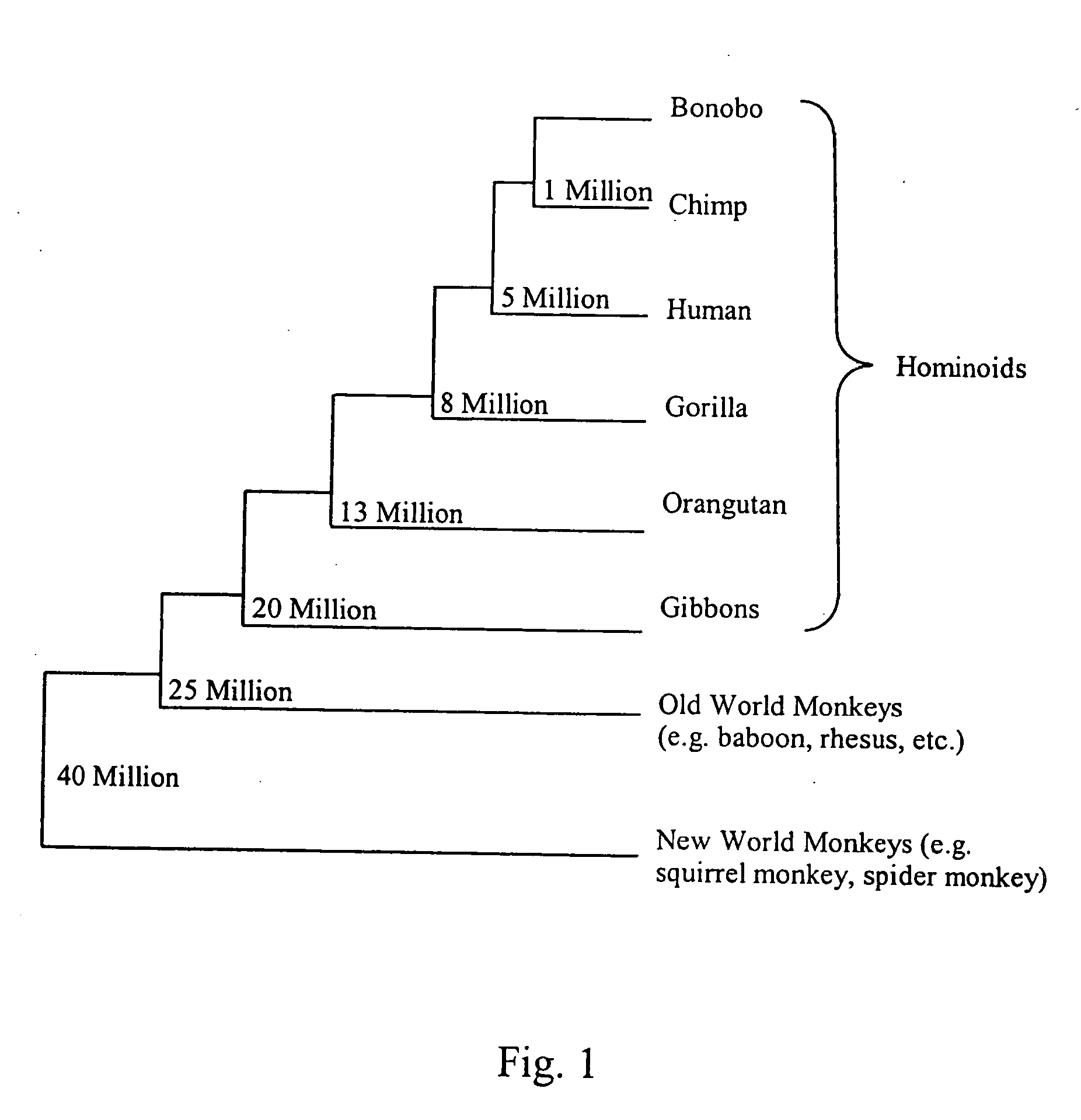 Methods to identify polynucleotide and polypeptide sequences which may be associated with physiological and medical conditions