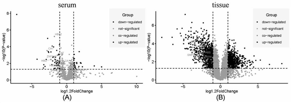 Application of carbonic anhydrase 1 and acid sphingomyelinase-like phosphodiesterase 3a as molecular markers in colorectal cancer diagnosis