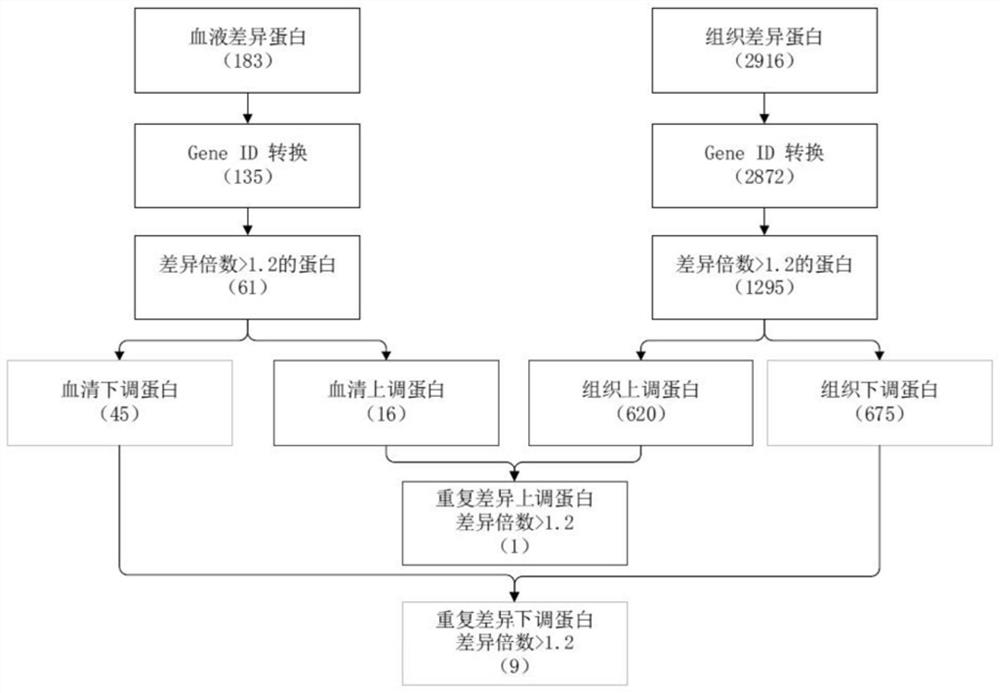 Application of carbonic anhydrase 1 and acid sphingomyelinase-like phosphodiesterase 3a as molecular markers in colorectal cancer diagnosis