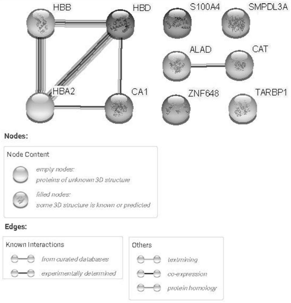 Application of carbonic anhydrase 1 and acid sphingomyelinase-like phosphodiesterase 3a as molecular markers in colorectal cancer diagnosis