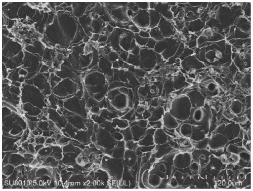 Lithium metal negative electrode, preparation method and lithium ion battery