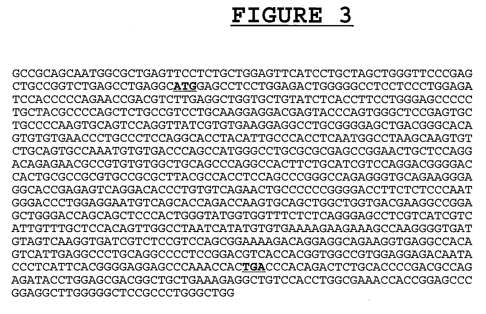 Novel compositions and methods for the treatment of immune related diseases