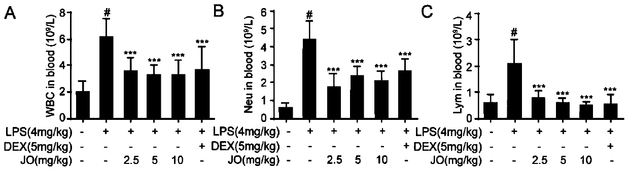 Application of Jasurolignoside in production of medicine for treating and/or preventing lung injuries