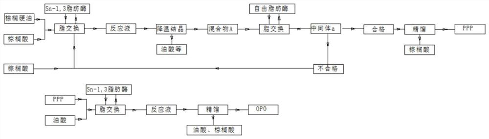 Production method of 1,3-olein-2-palmitin