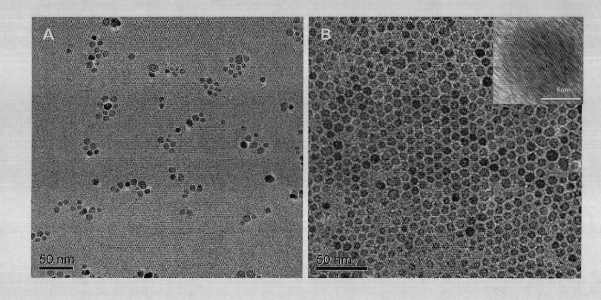 Method for preparing water-soluble nanometer iron oxide