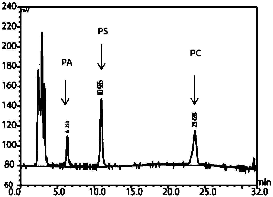 Engineering bacillus subtilis capable of expressing phospholipase D