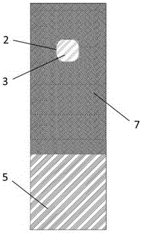 Enteric microorganism collecting capsule