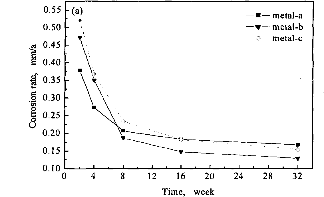 Analog accelerated corrosion test device