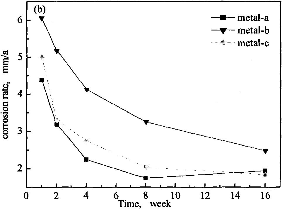 Analog accelerated corrosion test device