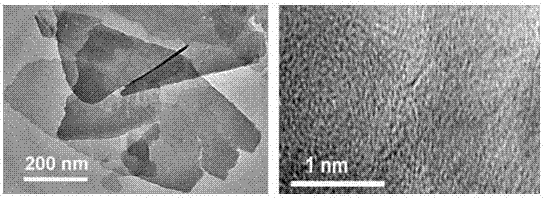 Molybdenum disulfide diaphragm of lithium-sulfur battery and preparation method therefor