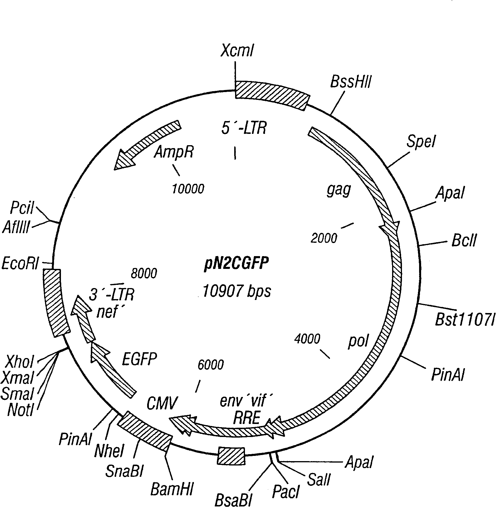 Methods for stable transduction of cells with viral vectors