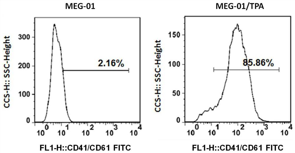 miRNA regulation of platelet gelsolin and its application in screening antiplatelet drugs