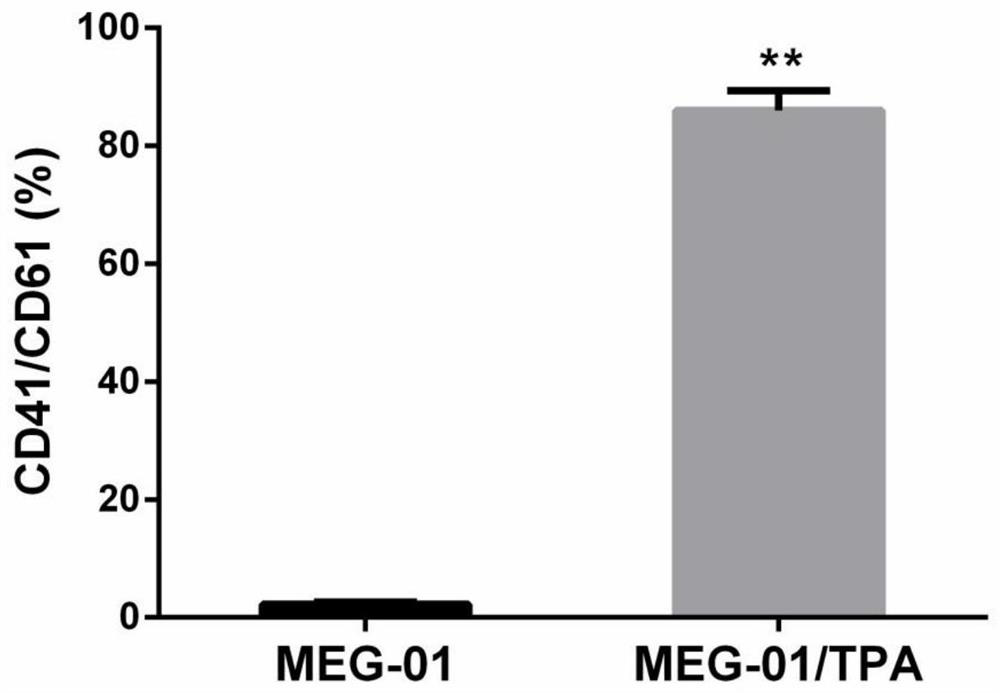 miRNA regulation of platelet gelsolin and its application in screening antiplatelet drugs