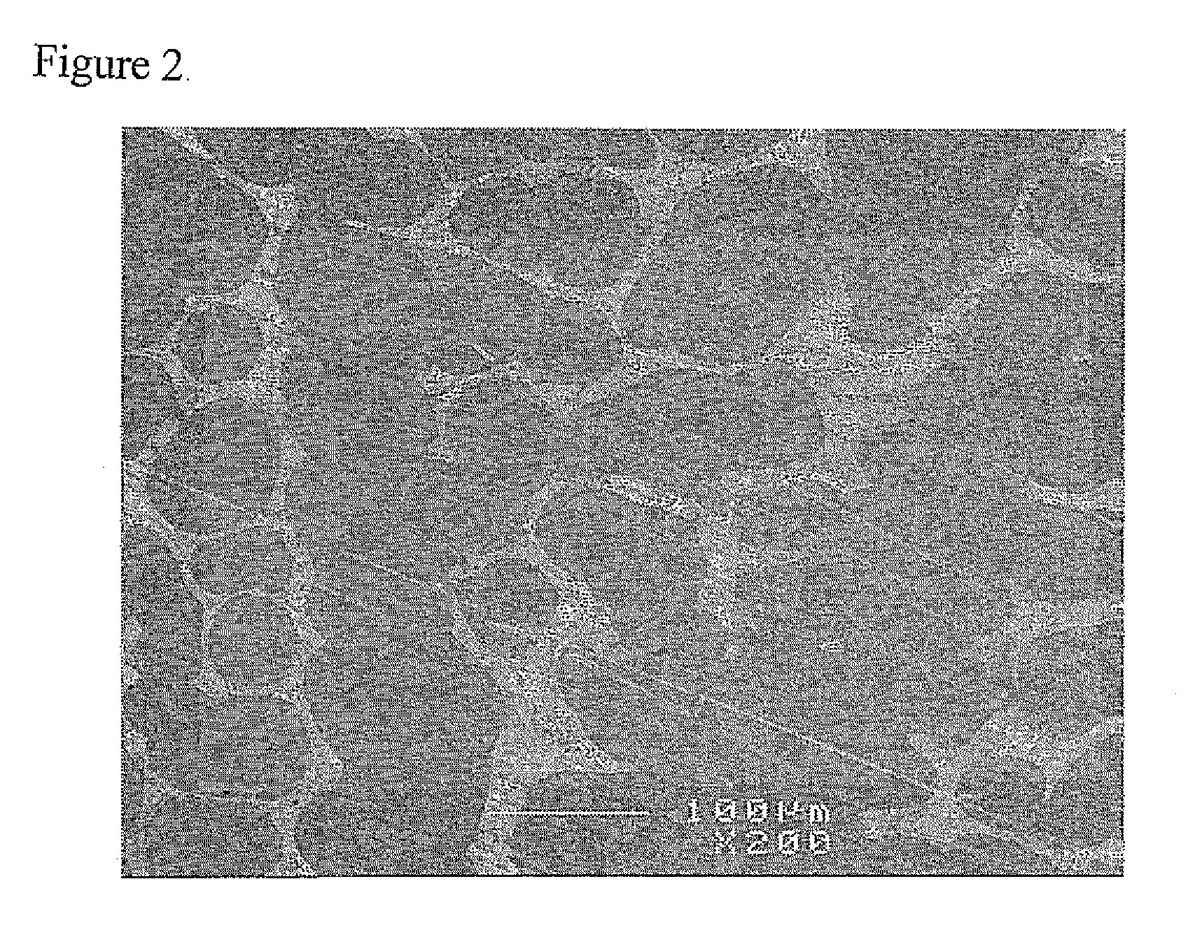 Low-melting boron-free braze alloy compositions