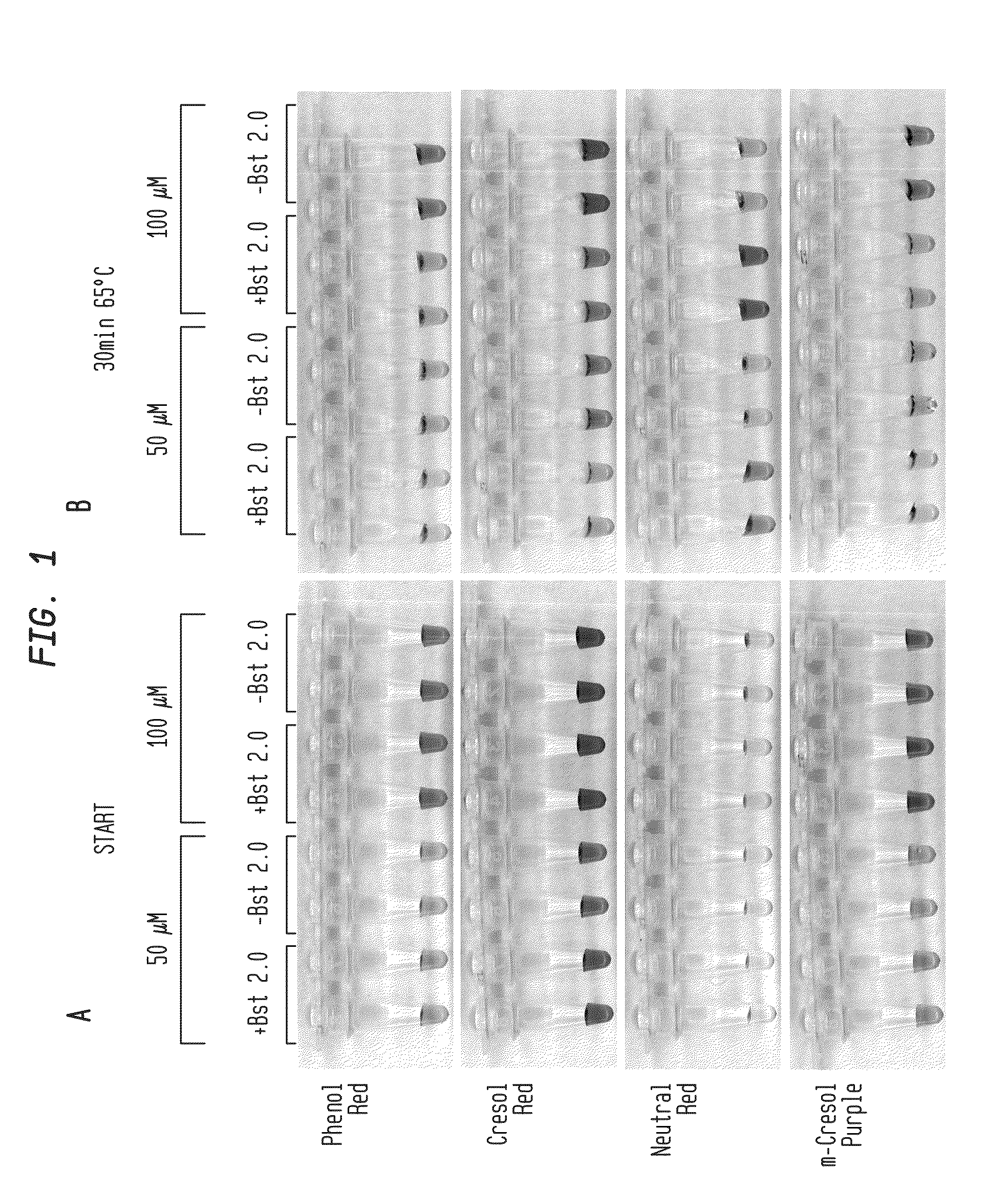 Detection of an amplification reaction product using pH-sensitive dyes