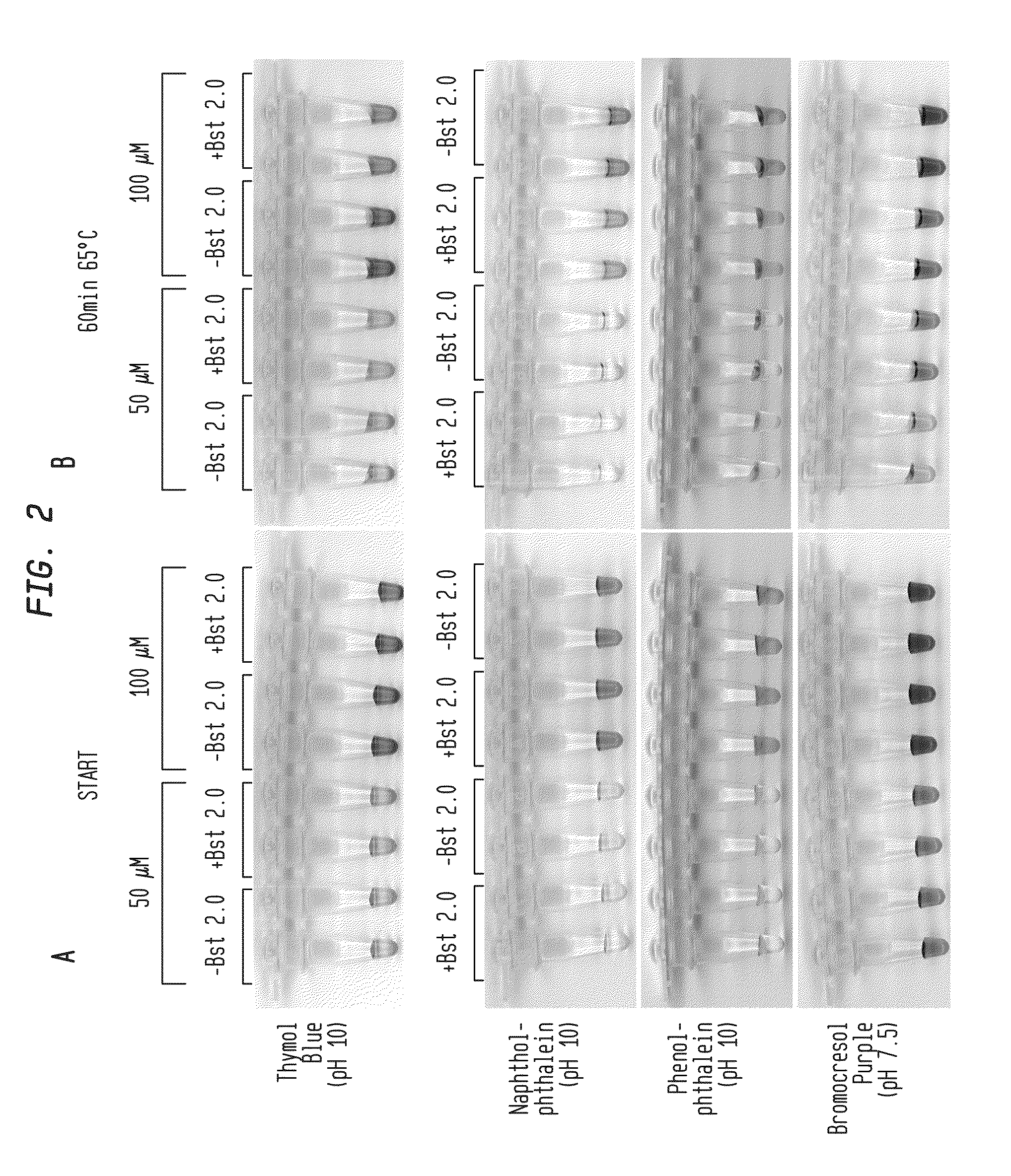 Detection of an amplification reaction product using pH-sensitive dyes