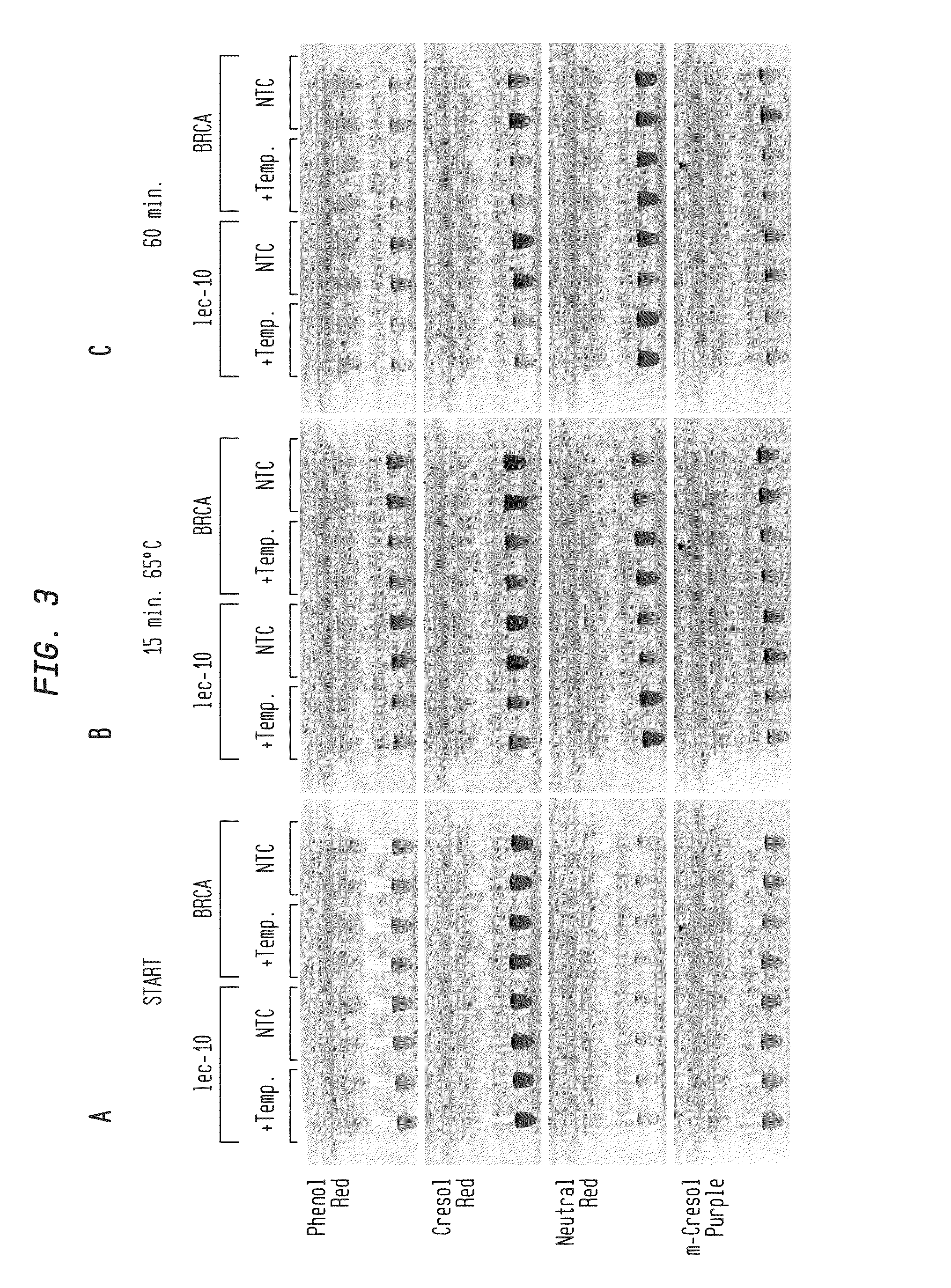 Detection of an amplification reaction product using pH-sensitive dyes