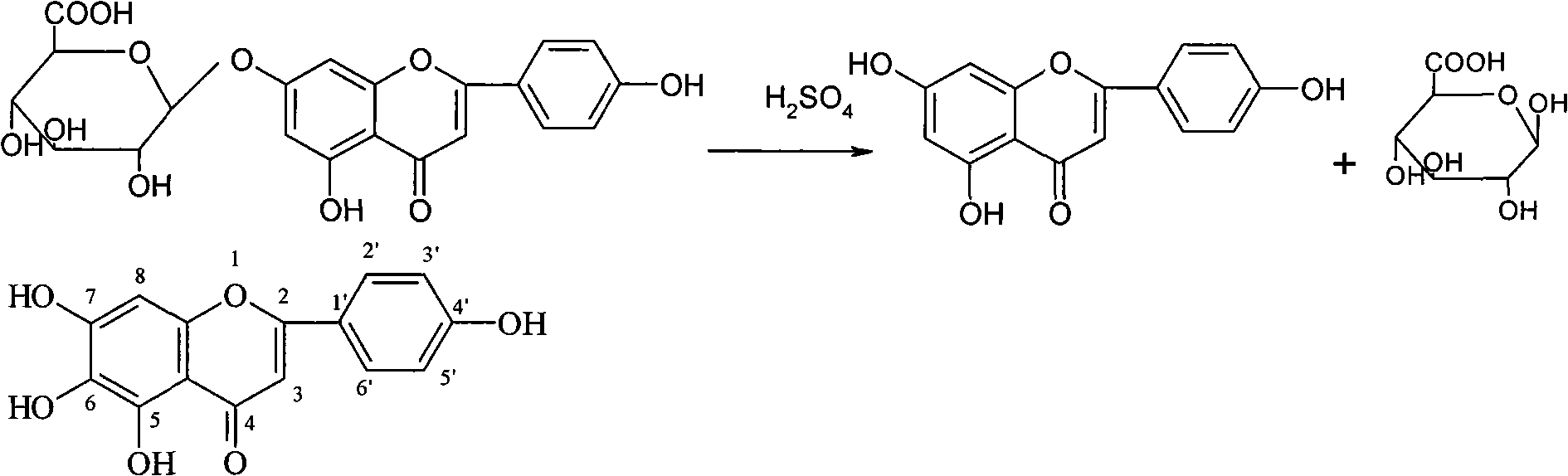 New application of scutellarin and derivatives thereof